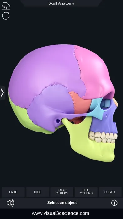 My Skull Anatomy Screenshots